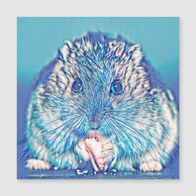 AnimalMix_Hamster_003 Magnetkarte (Vorderseite)