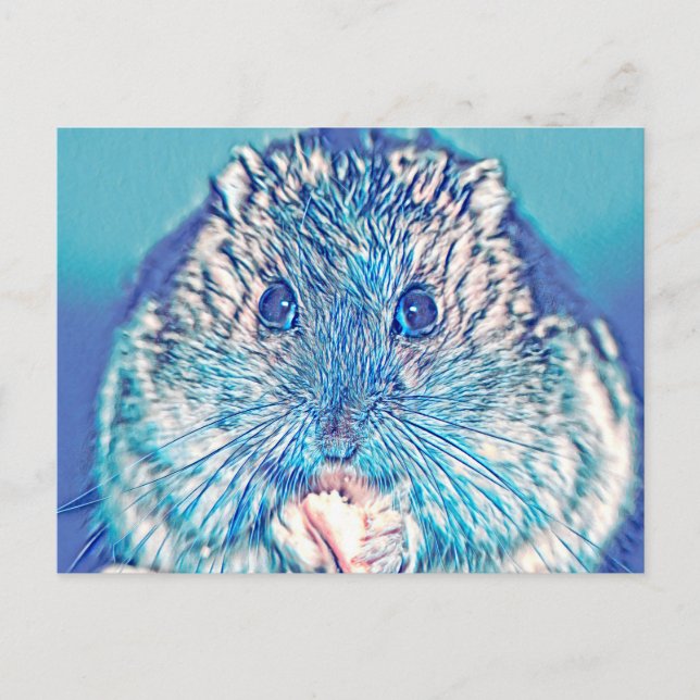 AnimalMix_Hamster_003 Postkarte (Vorderseite)