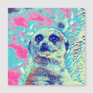 AnimalMix_Meerkat_008 Magnetkarte