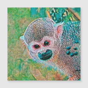 AnimalMix_Monkey_010 Magnetkarte