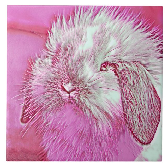 AnimalMix_Rabbit_008 Fliese (Vorderseite)