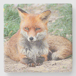 AnimalPaint_Fox_20171201_by_JAMColors Steinuntersetzer