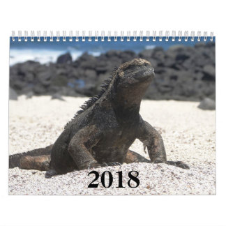 animals and birds of Galapagos Kalender