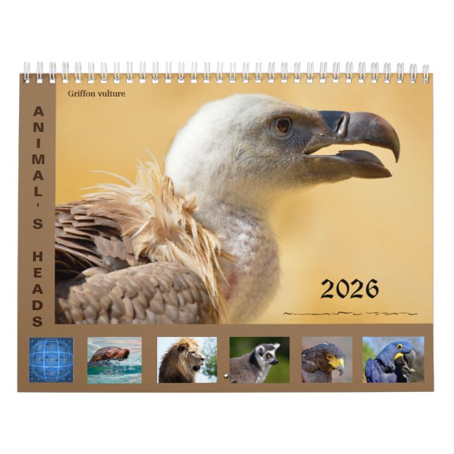 Animal's heads 12 month calendar kalender (Titelbild)