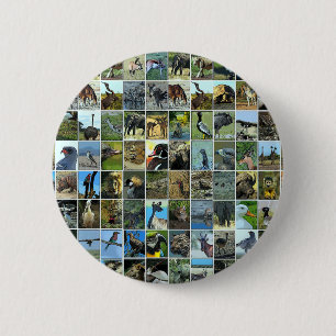 Animals of the world button