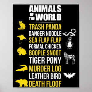 Animals Of The World Trash Panda Danger Noodle Poster