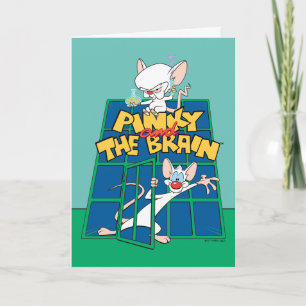 Animaniacs   Pinky und The Brain Cage Graphic Karte