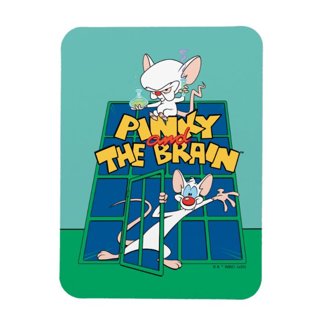 Animaniacs | Pinky und The Brain Cage Graphic Magnet (Vertikal)
