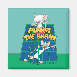 Animaniacs   Pinky und The Brain Cage Graphic Magnet