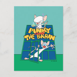 Animaniacs   Pinky und The Brain Cage Graphic Postkarte