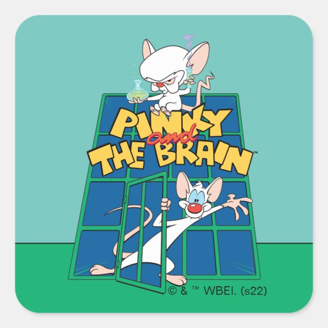 Animaniacs | Pinky und The Brain Cage Graphic Quadratischer Aufkleber (Vorderseite)