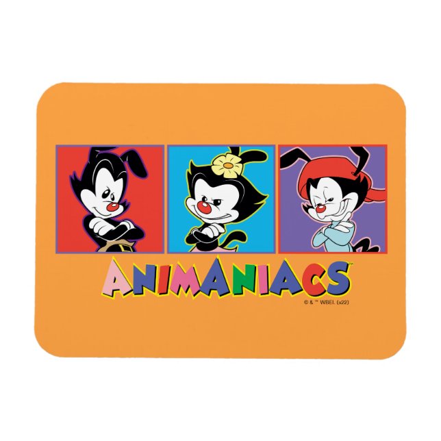 Animaniacs | Yakko, Dot, & Wakko Panel Graphic Magnet (Horizontal)