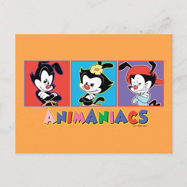 Animaniacs Yakko, | Dot, & Wakko Panel Graphic Postkarte (Vorderseite)