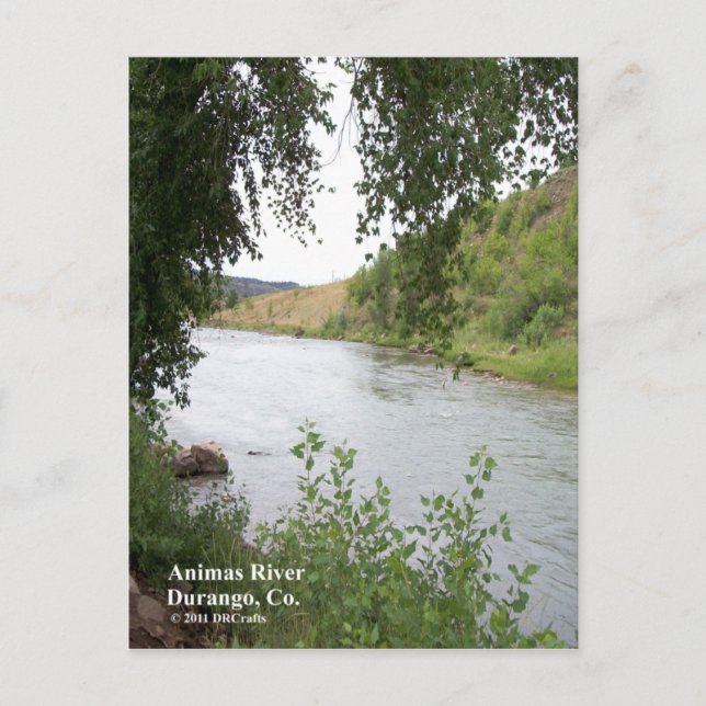 Animas River Postkarte (Vorderseite)