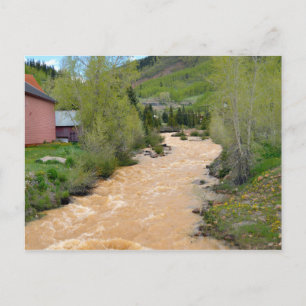 Animas River, Silverton, Colorado Postkarte