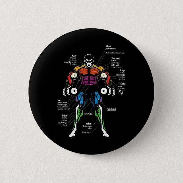 Anime Anatomy Muscle Chart  Button (Vorderseite)
