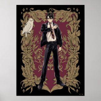 Anime HARRY POTTER™ Verziert Frame Poster