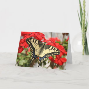 Anise Frack Card Karte
