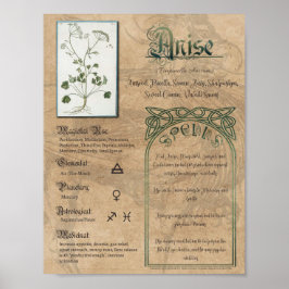 Anise Herbal Buch Schatten Pagan Wiccan Poster