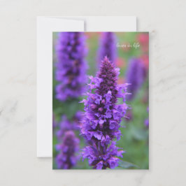 Anise Hyssop Note Card Mitteilungskarte