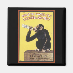 Anisetta Evangelisti Vintag Liquor Ad Magnet