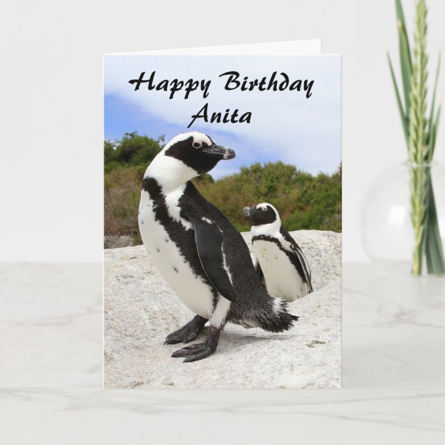 Anita Happy Birthday African Penguins Spaß Card Karte (Vorderseite)