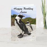 Anita Happy Birthday African Penguins Spaß Card