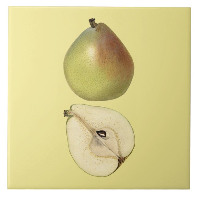 Anjou Pear Botanical Tile ~ Küche ~ Farbe ~ Fliese (Vorderseite)