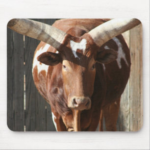 Ankole-Watusi Ochse mit enormen Hörnern Mousepad