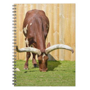 Ankole-Watusi Weideland Notizblock