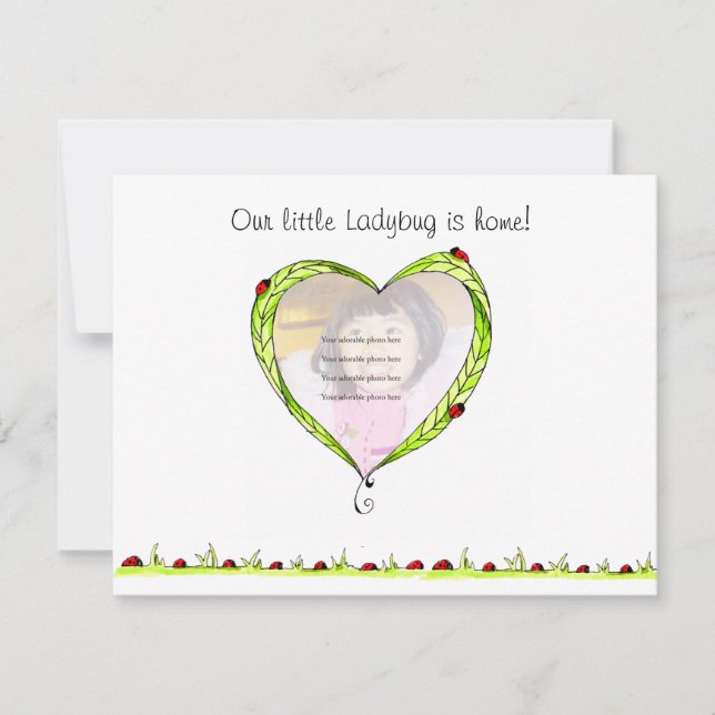 Ankündigung der Adoption Ladybug (Vorderseite)