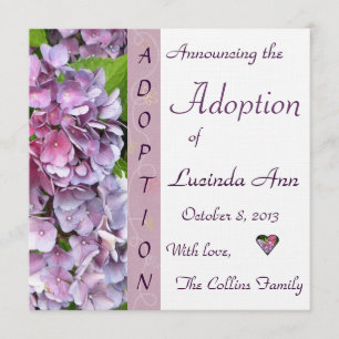 Ankündigung der lila Hydrangea-Adoption