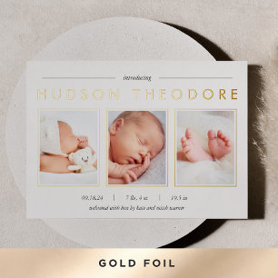 Ankündigung der modernen Trio Foil Birth