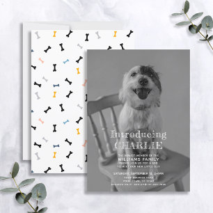 Ankündigung der neuen Adoption für Welpen-Foto