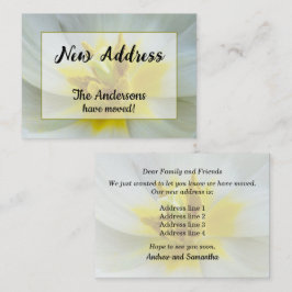 Ankündigung der neuen Adresse der White Tulip