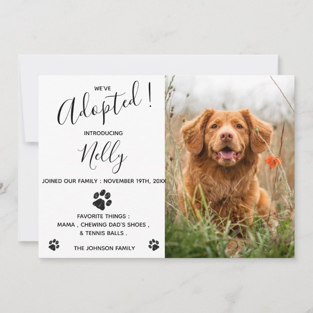 Ankündigung der neuen Hunde Katze (Vorderseite)