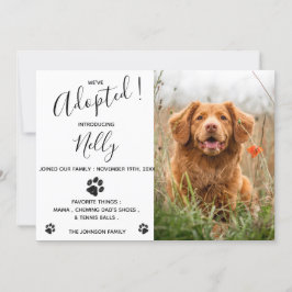 Ankündigung der neuen Hunde Katze