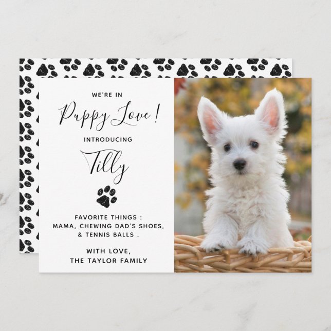 Ankündigung des neuen Hundes für Haustiere (Vorne/Hinten)