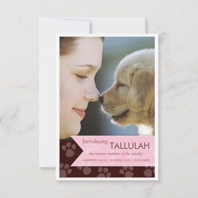 Ankündigung des neuen Pet Brown Pink Banner-Fotos (Vorderseite)