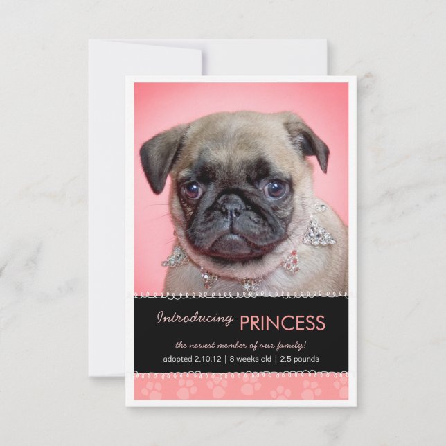 Ankündigung des neuen Pet Pink Paw Prints Foto (Vorderseite)