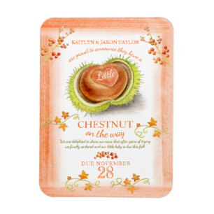 Ankündigung einer Schwangerschaft während der Kast Magnet