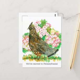 Ankündigung Pennsylvania Ruffed Grouse Postkarte