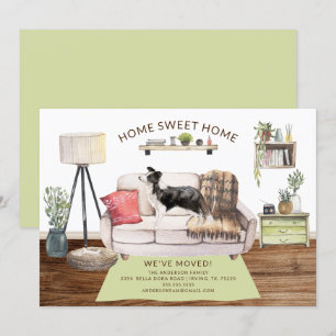 Ankündigung über den Umzug von Collie Dog