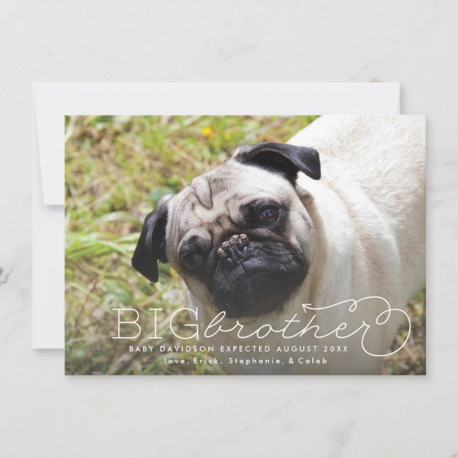 Ankündigung von Big Brother Foto Pet Pregnancy (Vorderseite)