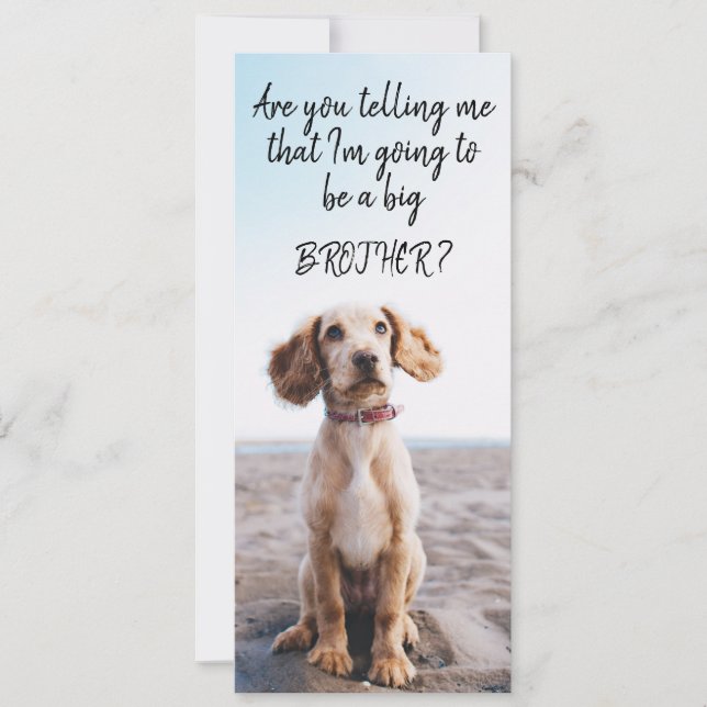 Ankündigung von Big Brother/Sister Pet Schwangersc (Vorderseite)