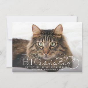 Ankündigung von Big Sister Foto Pet Pregnancy