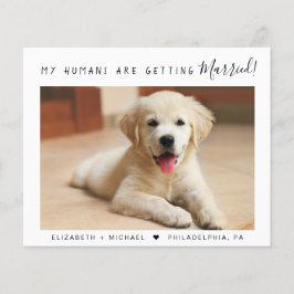 Ankündigung von Foto Haushalt Verlobung