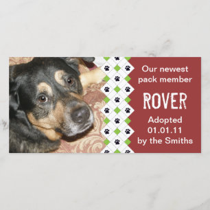 Ankündigung von Hunde/Welpen-Adoption