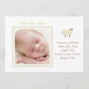 Ankündigung von Little Lamb