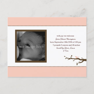 Ankündigung von Pink Bird Baby